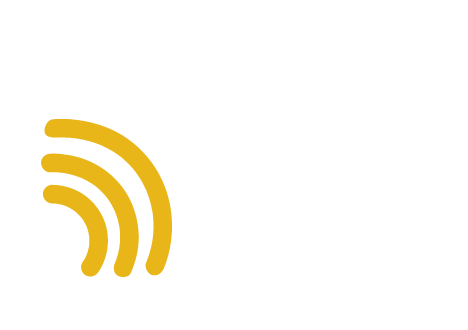 Bergan Connect Flag Logo